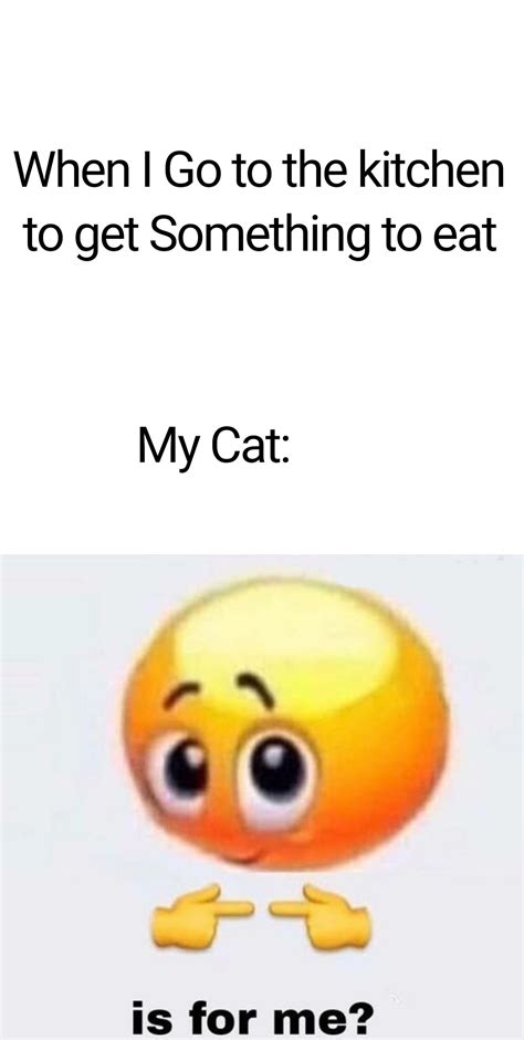 Meow meow : r/memes