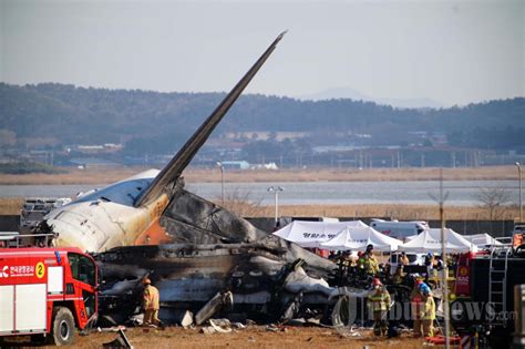 Pesawat Jeju Air Boeing 737 800 Di Bandara Internasional Muan Korea