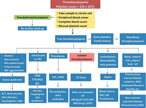 Treatment Algorithm For Immune Thrombocytopenia Download Scientific