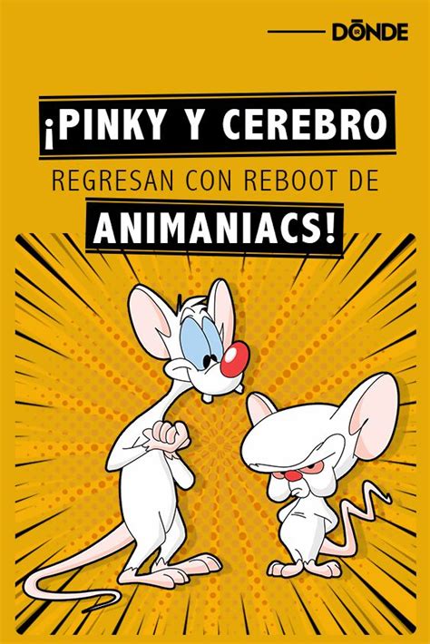 Pinky Y Cerebro Regresar De La Mano De Los Animaniacs Pinky Y