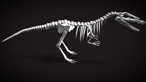 Baryonyx skeleton - 3D model by layenna [7734f40] - Sketchfab