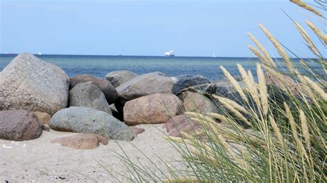 K Ste Strand Ostsee Kostenloses Foto Auf Pixabay Pixabay