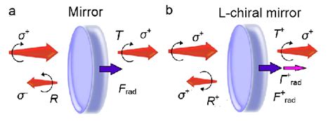 Principle of chiral selection.(Donato, Hernandez et al. 2014) a) a ... 