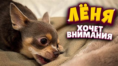 Уделите внимание Лёне - YouTube