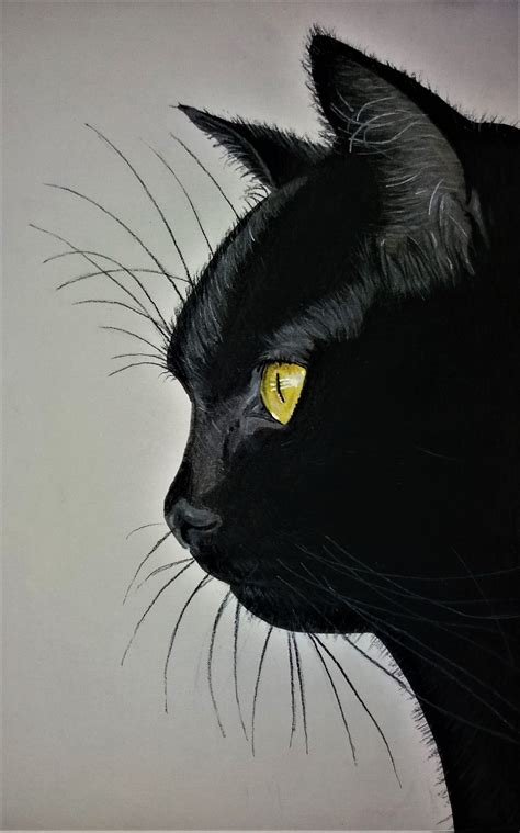 dessiner un chat noir réaliste draw realistic black cat Black cat