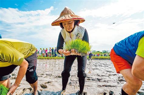 心中一畝田 食農教育親體驗 林姿妙樂插秧 Yahoo奇摩時尚美妝