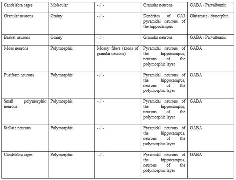 Rat Hippocampus – Development and Morphological Organization | Auctores 