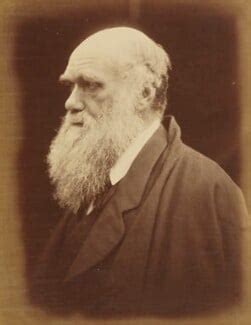 NPG P8 Charles Darwin Portrait National Portrait Gallery