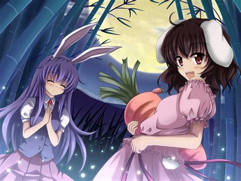 2girls Animal Ears Blush Brown Hair Bunny Ears Bunnygirl Inaba Tewi