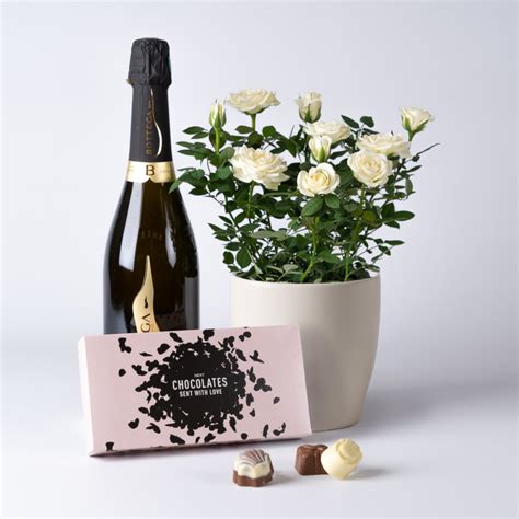 Next Flowers And T Cards Delivered Next Day Prosecco T