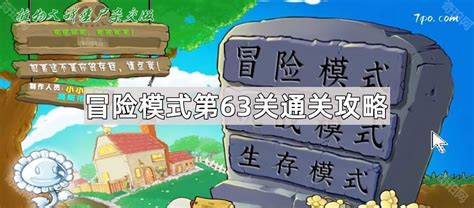 植物大战僵尸杂交版冒险模式第63关怎么通关 杂交版冒险模式第63关通关攻略 奇珀网