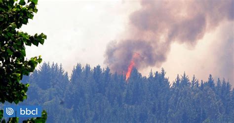 Región de Ñuble Decretan Alerta Roja por incendio forestal cercano a