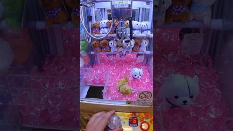 【クレーンゲーム攻略】ゲーセンのufoキャッチャーで柴犬をゲットした Shorts │ Game動画まとめch