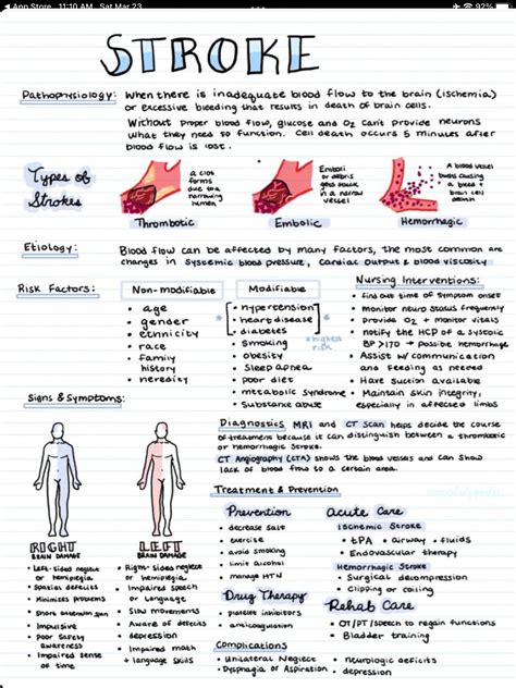 Musculoskeletal Trauma Nursing Notes Artofit