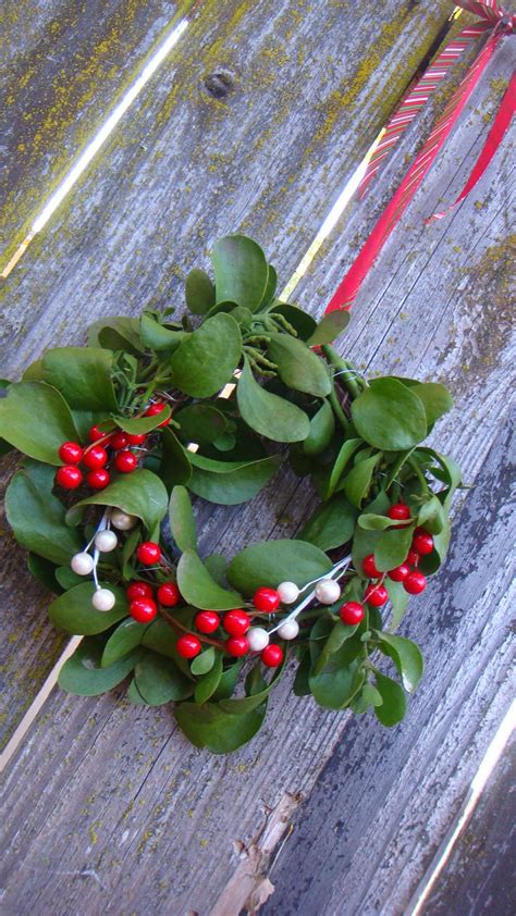 Real Mistletoe Wreath/ Holiday Decorations by DesignsByTnT on Etsy