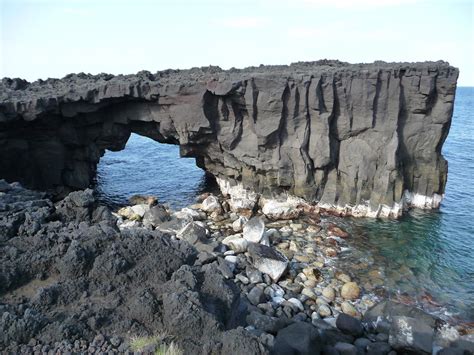 Isolated in the Izu Islands - Wild Watch | Japan Nature Guides