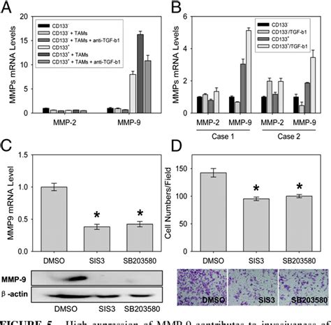 Pdf Tumor Associated Microglia Macrophages Enhance The Invasion Of