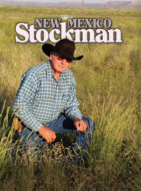 NMS November 22 by Livestock Publishers - Issuu