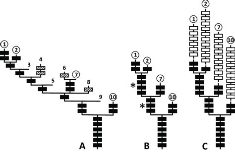 2 Hypothetical Scenario Illustrating How Extinction Of Intermediate Download Scientific Diagram