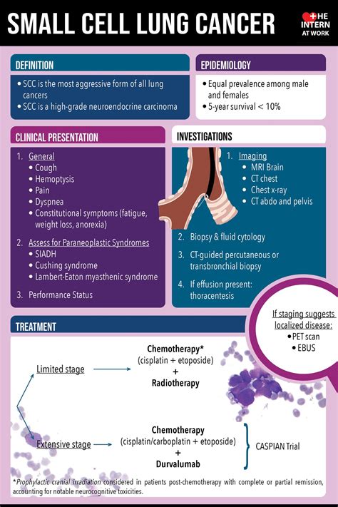 Small Cell Lung Cancer — The Intern at Work