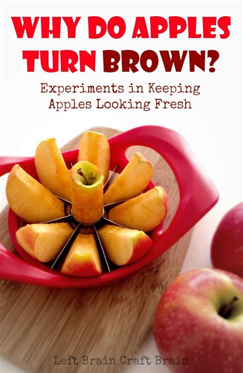 Why Do Apples Turn Brown Science Experiment Preschool Stem Science