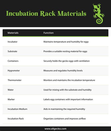 Crested Gecko Egg Incubation Guide For Successful Hatching