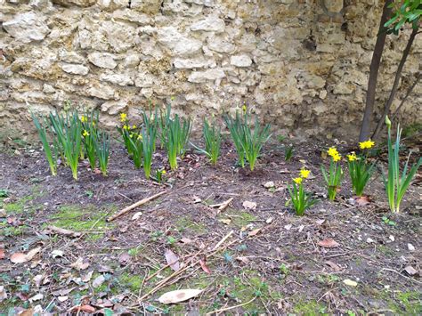 Avril Au Jardin Coll Ge Gay Lussac