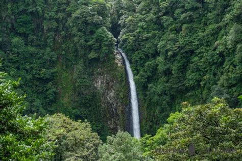 Gu A Para Visitar La Catarata La Fortuna Precios Horarios Y C Mo Ir