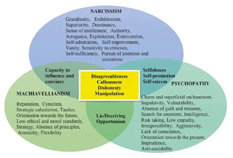 Summary: Understanding the Dark Triad: Managing “Dark” Personality ...