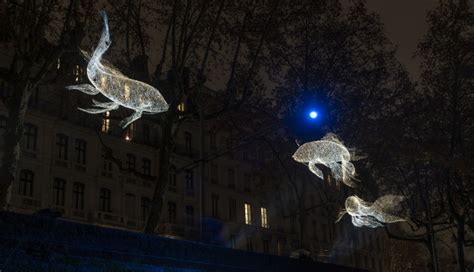 Cédric Le Borgne Fete des lumieres