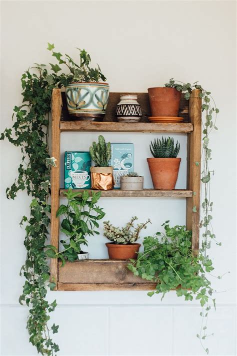 Wooden Shelf With Potted House Plants And Cacti Bedroom Apartment