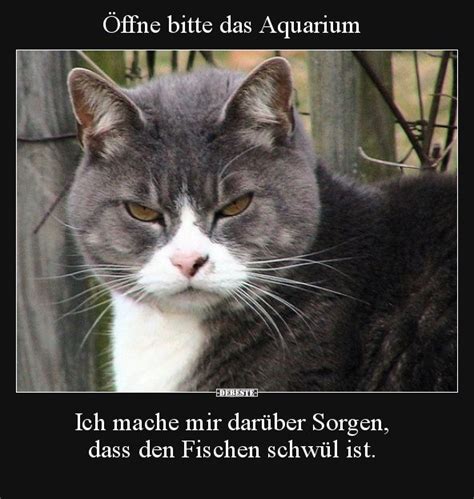 Öffne bitte das Aquarium Lustige Bilder Sprüche Witze echt