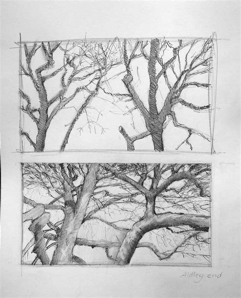 Trees Pencil Sketch | Artsy illustration, Tree pencil sketch, Art prompts