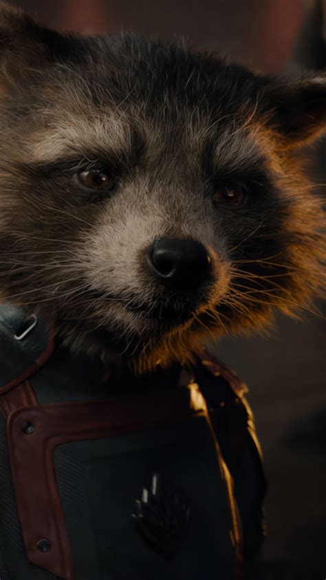 Guardians Of The Galaxy Rocket Raccoon Wallpaper