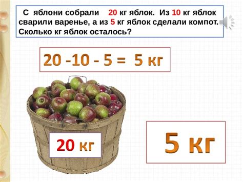 В саду собрали 444 кг яблок сорта богатырь - фото