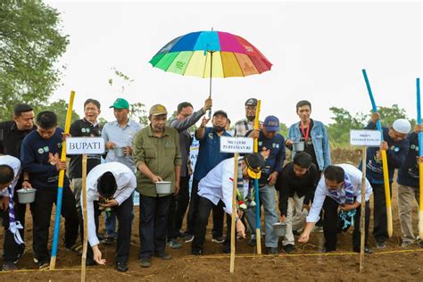 Antisipasi Krisis Pangan Mentan Syl Dorong Pengembangan Budidaya