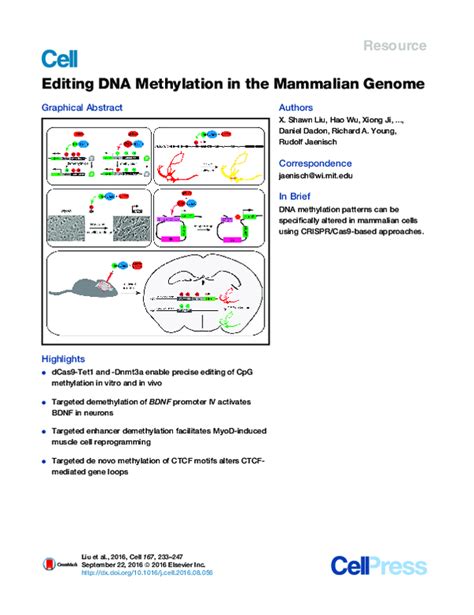 Pdf Editing Dna Methylation In The Mammalian Genome Rudolf Jaenisch