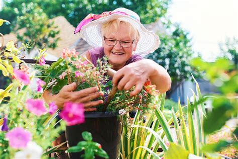 Container Gardening Tips For Older Adults Life Protect 247