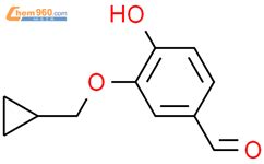3 环丙基甲氧基 4 羟基苯甲醛 25934 52 5现货 厂家 南通众合化工新材料有限公司