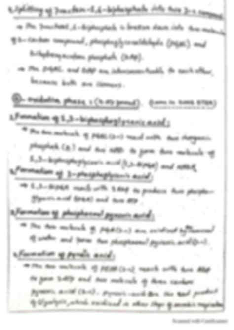 Solution Cellular Respiration And The Processstages Of Cellular