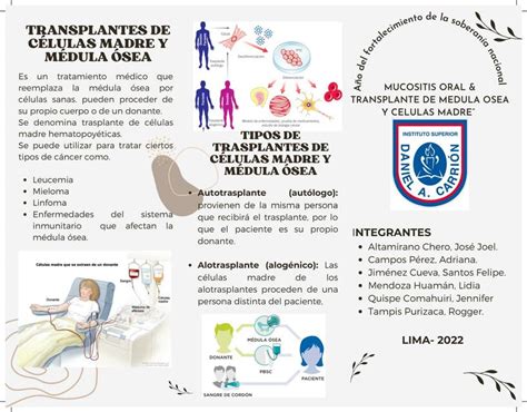 Res Menes De Mucositis Oral Descarga Apuntes De Mucositis Oral