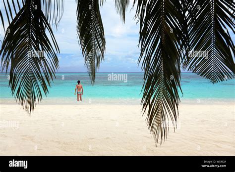 Bikini Model Beach Lying Hi Res Stock Photography And Images Alamy