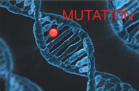 Mutation — Biology Notes