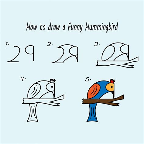 how to draw hummingbird step by step