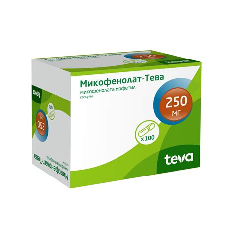Микофенолат – Telegraph