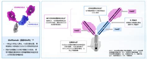 格物学院 第三期许彭鹏教授NCCN指南更新解读支持在DLBCL中使用格菲妥单抗976 png