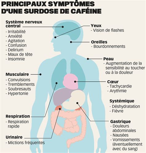 Infographie Surdose De Caf Ine Le Matin On Behance