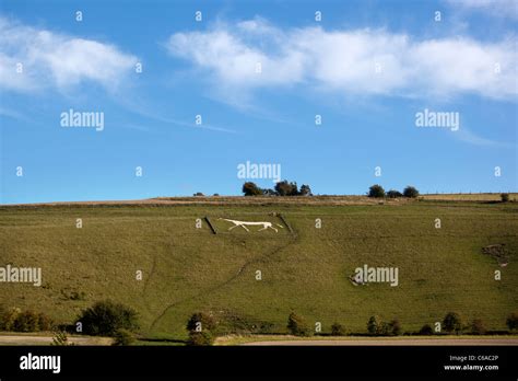 The Pewsey White Horse Stock Photo - Alamy