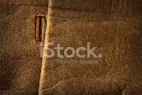 Leather Detail Stock Photo | Royalty-Free | FreeImages