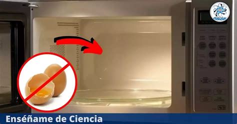 Por qué nunca debes introducir huevos en el horno de microondas Esta